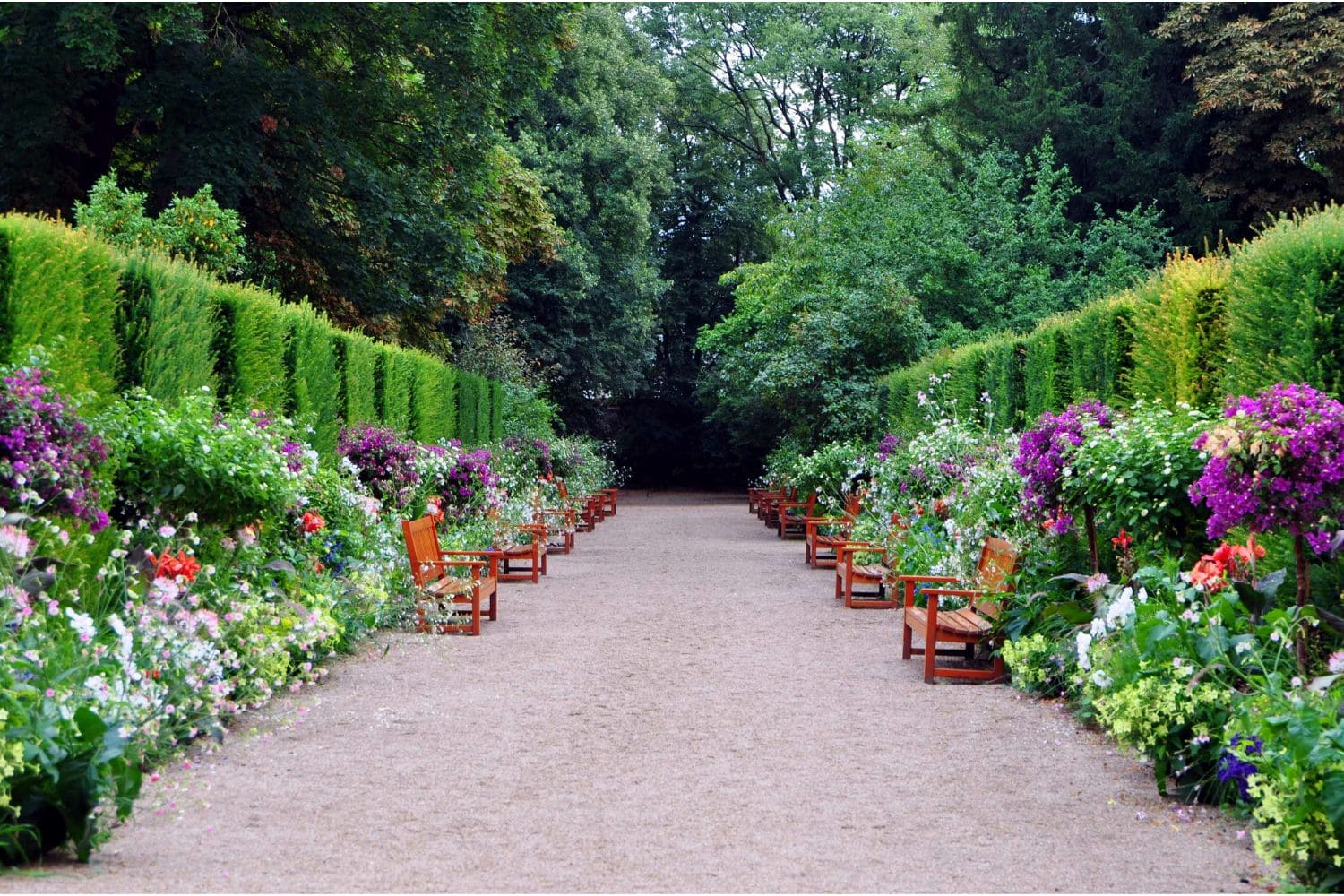Gallery-Image